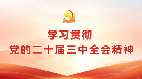 學(xué)習(xí)貫徹黨的二十屆三中全會(huì)精神